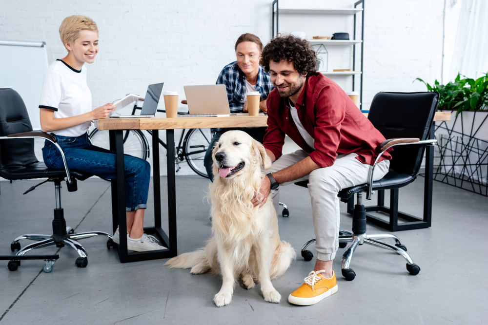 Dogs in the Workplace: A Quick Guide to Office Pet Policies
