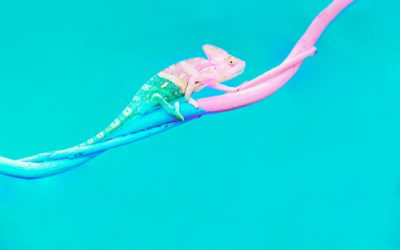 What Should Operators Do Now? Our Key Takeaways NAMA’s “Pivoting for Success” Webinar